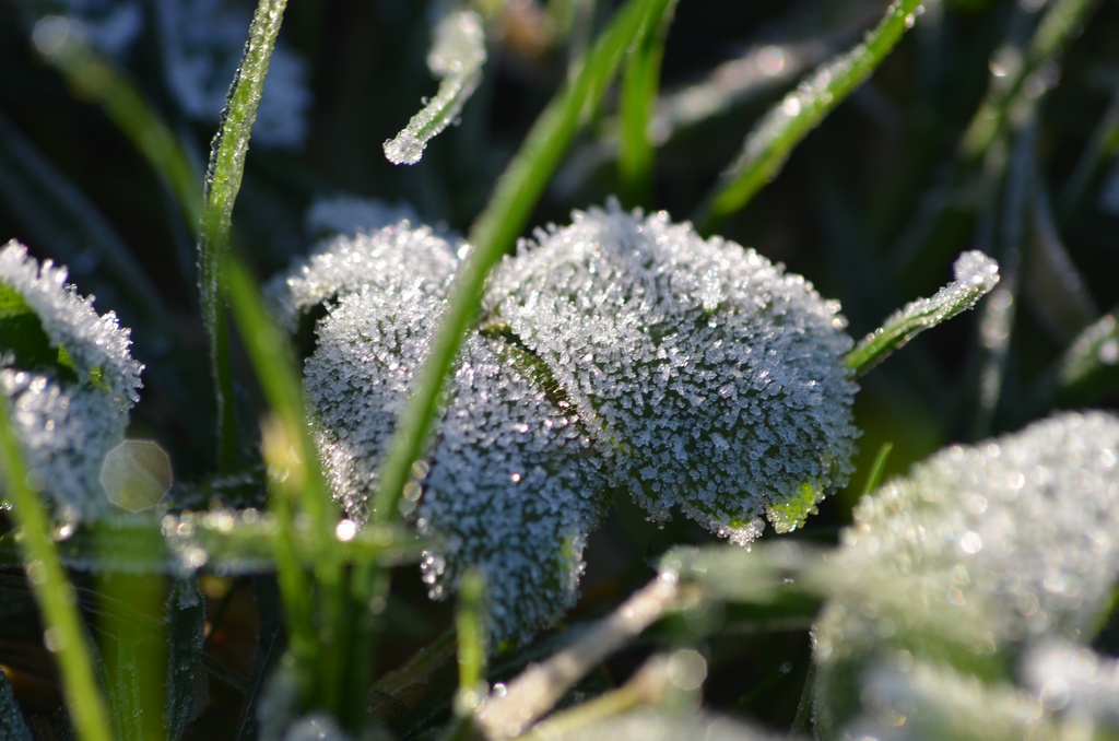 2014-01 Kilkenny/DSC_0017.JPG